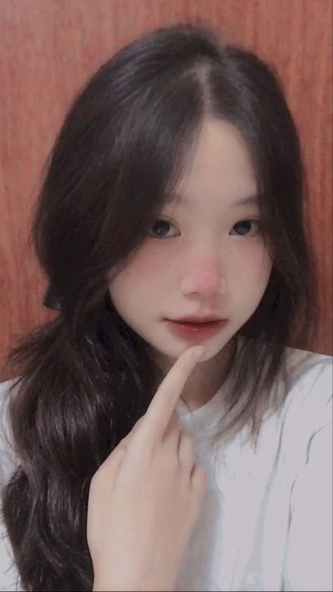 群狼电影完整版在线观看